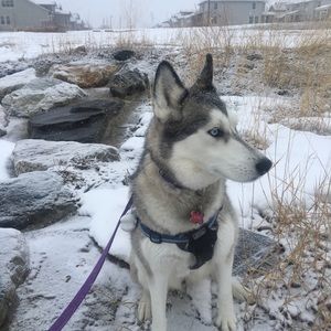 Meet your Posher, Nathan